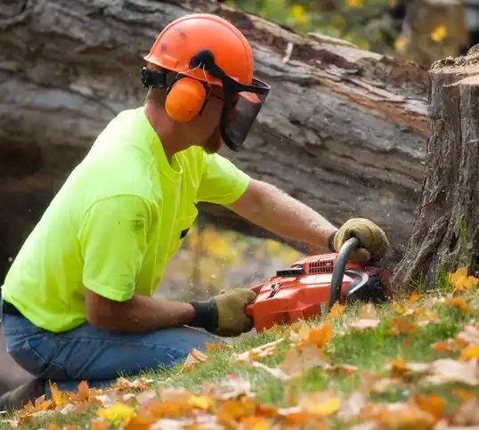 tree services Shell Valley